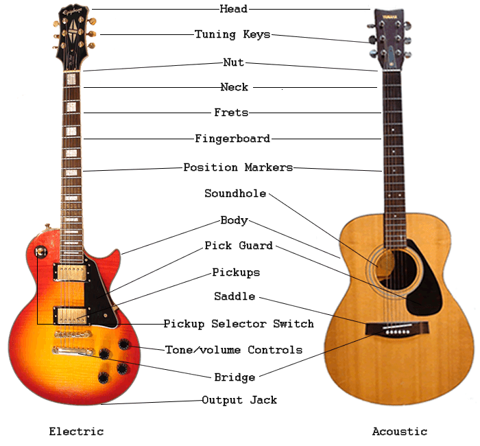 An Overview of Guitar Parts: Electric & Acoustic Guitar Anatomy