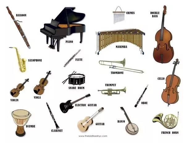Which is the best musical instrument to learn on my own or with the help of online youtube tutorials? - Quora