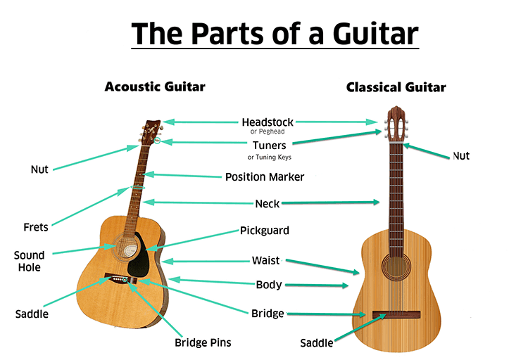 Guitar Anatomy | Parts Of A Guitar – Lesson #2 – Real Guitar Lessons by Tomas Michaud