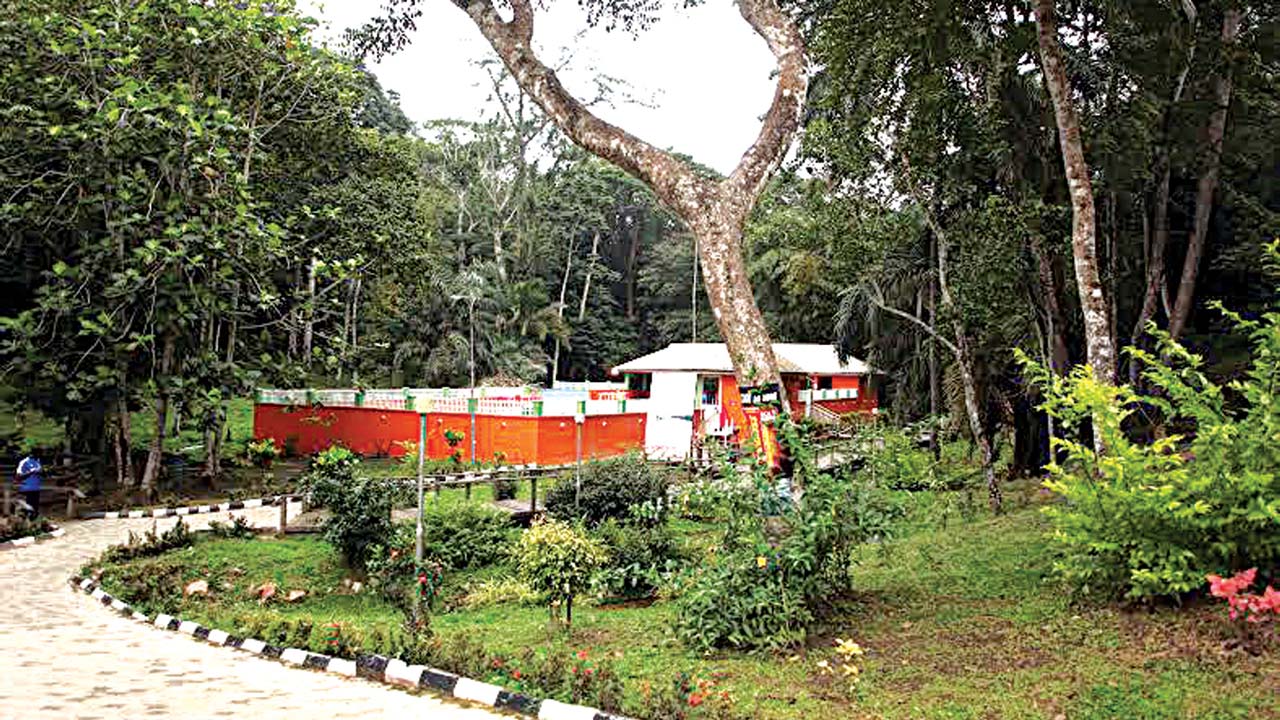 Destination. . . Ikogosi Warm Spring Resort | The Guardian Nigeria News - Nigeria and World News — Saturday Magazine — The Guardian Nigeria News – Nigeria and World News