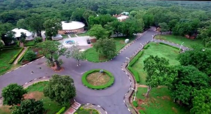 20,172 Tourists Have Visited Yankari Game Reserve in 2017 – Administrator – NTA.ng – Breaking News, Nigeria, Africa, Worldwide